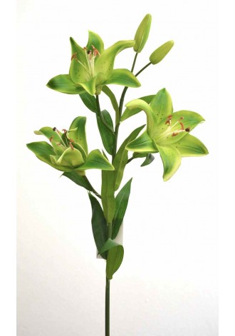 Vara de lily 87cm