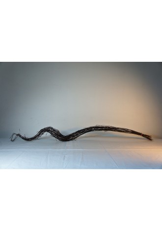 Varas de curly deshidratado...