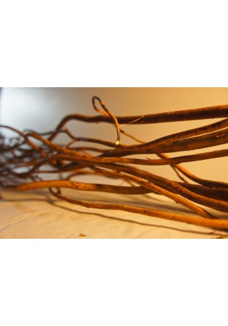 Varas deshidratadas KDN120cm