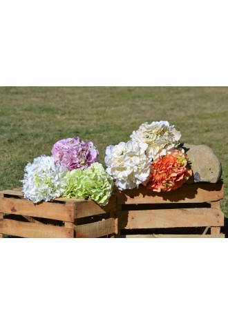 Hortensia Bloom 22cm...