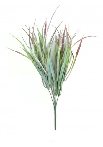 Zacate cenizo 38cm largo