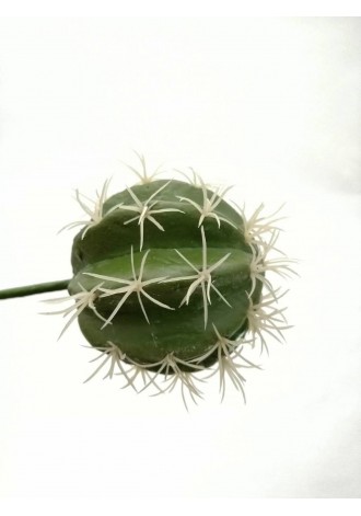 Cactus Devil 20cm altura