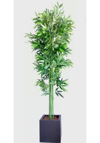 Árbol de Bambú 213cm tronco...