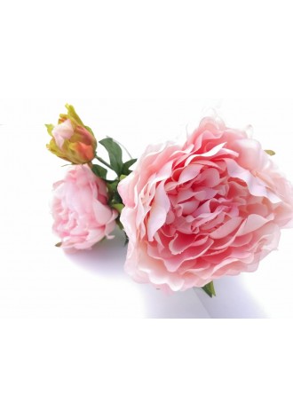 Vara de flor de peonia...