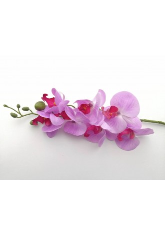 Orquídea phalaenopsis 7...
