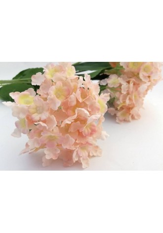 Ramo mini-hortensia x 7...