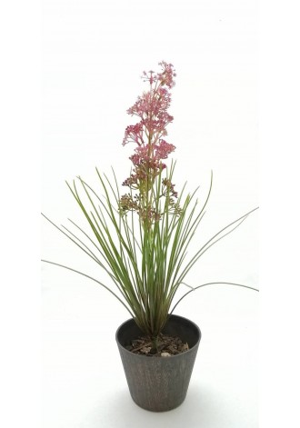Planta con flores y...
