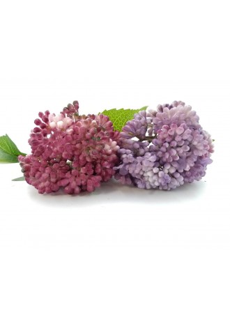 Allium Dun 10cm diámetro,...