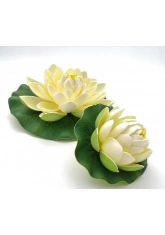 Flor de loto flotante 10 y...