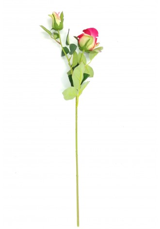 Vara de rosa con boton...