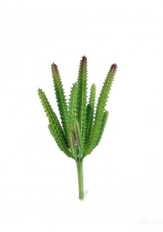 Cactus candelabra 20cm altura