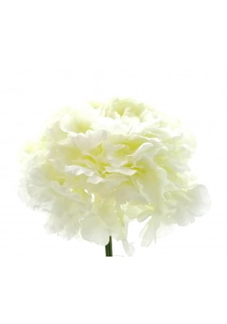 Ramillete de hortensias, 10...