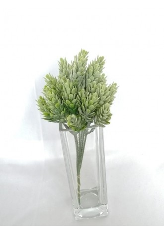 Follaje donkey tails 20cm...
