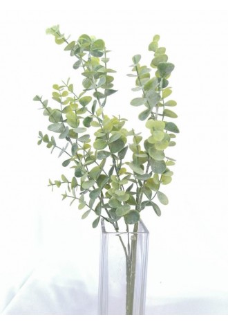 Eucalipto 66cm largo