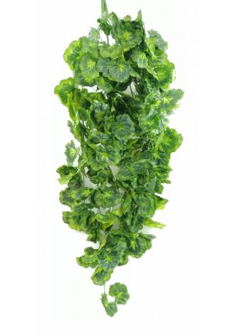 Colgante de geranio 110cm...