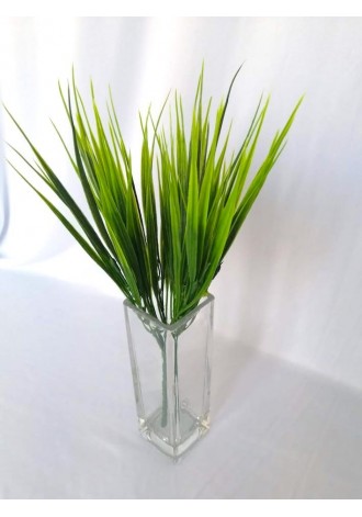 Zacatillo verde 30cm largo