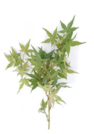 Vara de Cannabis 90cm largo