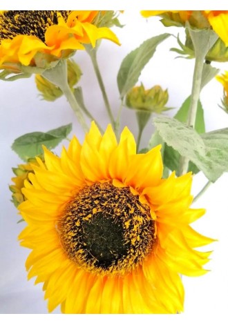 Ramo de girasoles 60cm de...