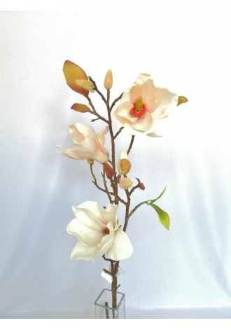 Vara de magnolia 80cm...