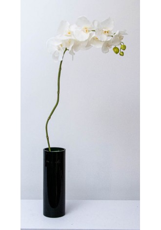 Orquídea phalaenopsis latex...