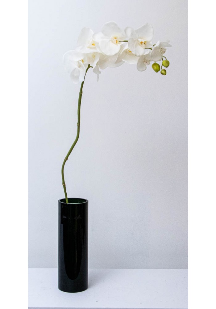 orquidea-phalaenopsis-latex-blanca-142335 orquidea-phalaenopsis-latex-blanca-142335