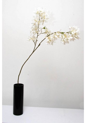 Vara de california lily...