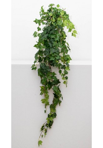 Colgante de Hiedra 110cm...