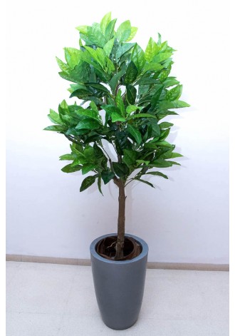 Árbol verde de 160cm...