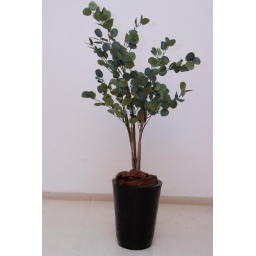 Árbol de eucalipto 120cm...