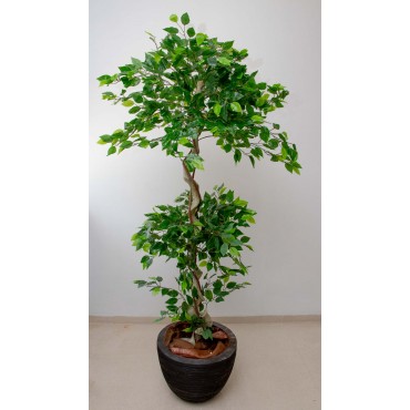 Árbol topiario ficus 180cm...