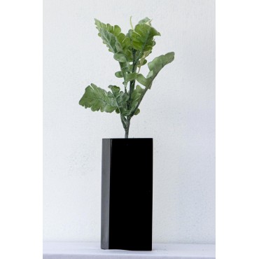 Vara de helecho cenizo 38cm