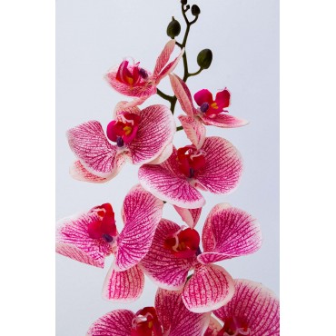 Orquidea Tary 110cm altura,...