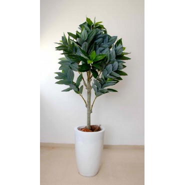 Árbol Chino 140cm altura