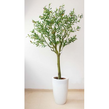 Árbol de olivo 170cm de altura