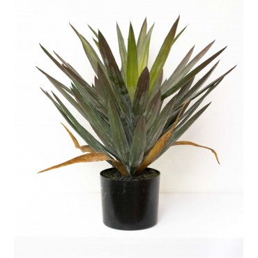 Yuca textura natural 50cm