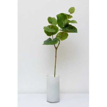 Follaje Leura 75cm altura,...