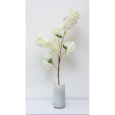 Vara blanca blossom 100cm