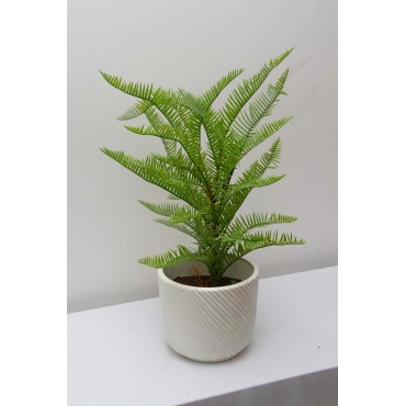 Follaje Cypreés 50cm