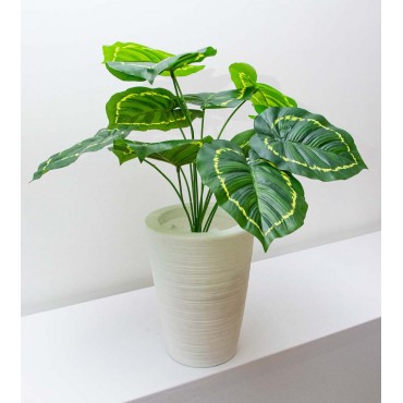 Follaje Tongavine 50cm