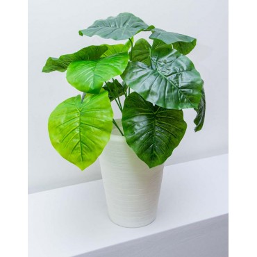 Follaje hoja elefante 50cm