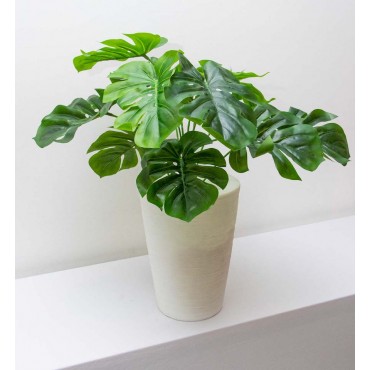 Follaje mostera 50cm
