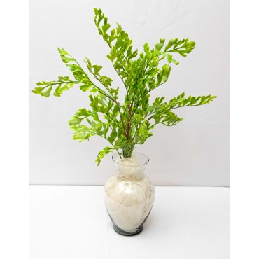 Follaje de Roble 55cm