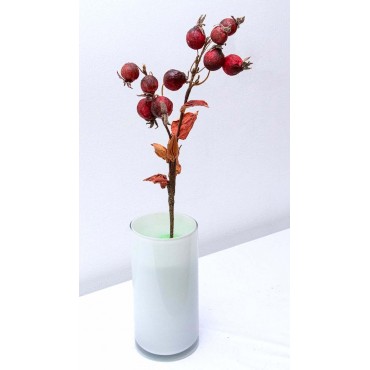 Vara de frutos secos 52cm,...