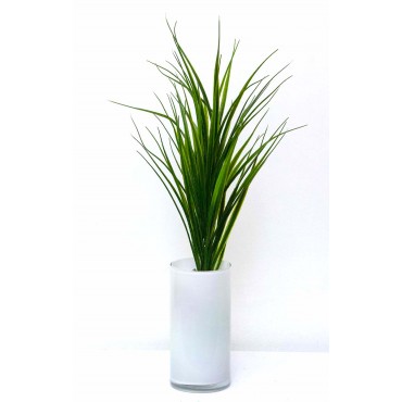 Zacate vainilla verde 54cm...