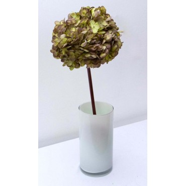 Hortensia Lark 50cm