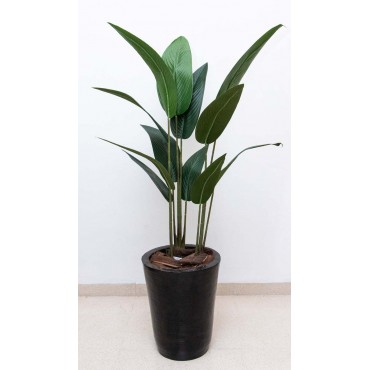 Arbol cuna de moisés 110cm...