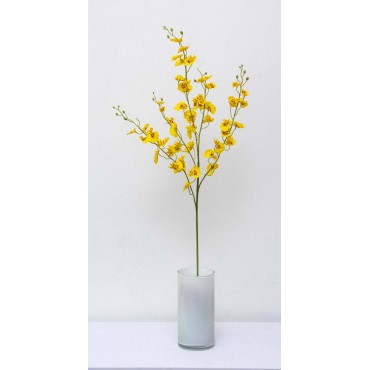 Orquídea spider Ivy 85cm