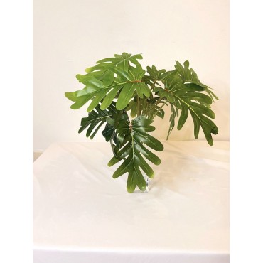Planta philodendrom 38cm...