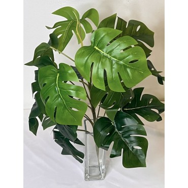 Planta mostera 47cm con...