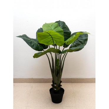 Planta philodendrom 90cm
